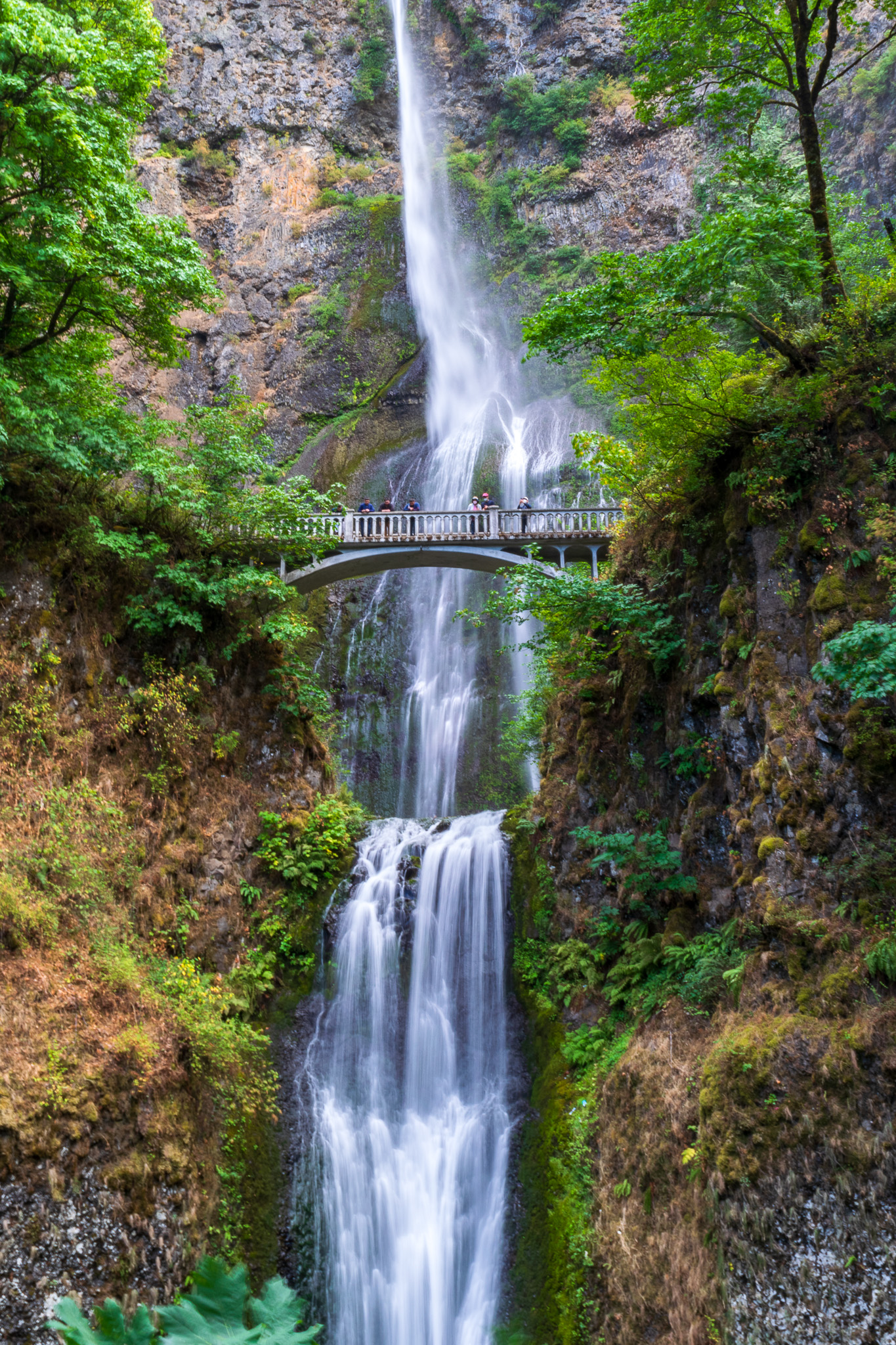 Benson Bridge in oregon with waterfall behind