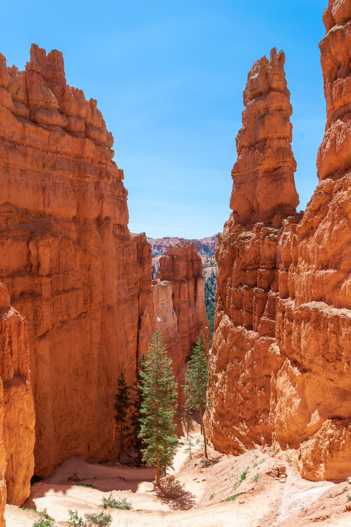 looking down intro bryce canyon
