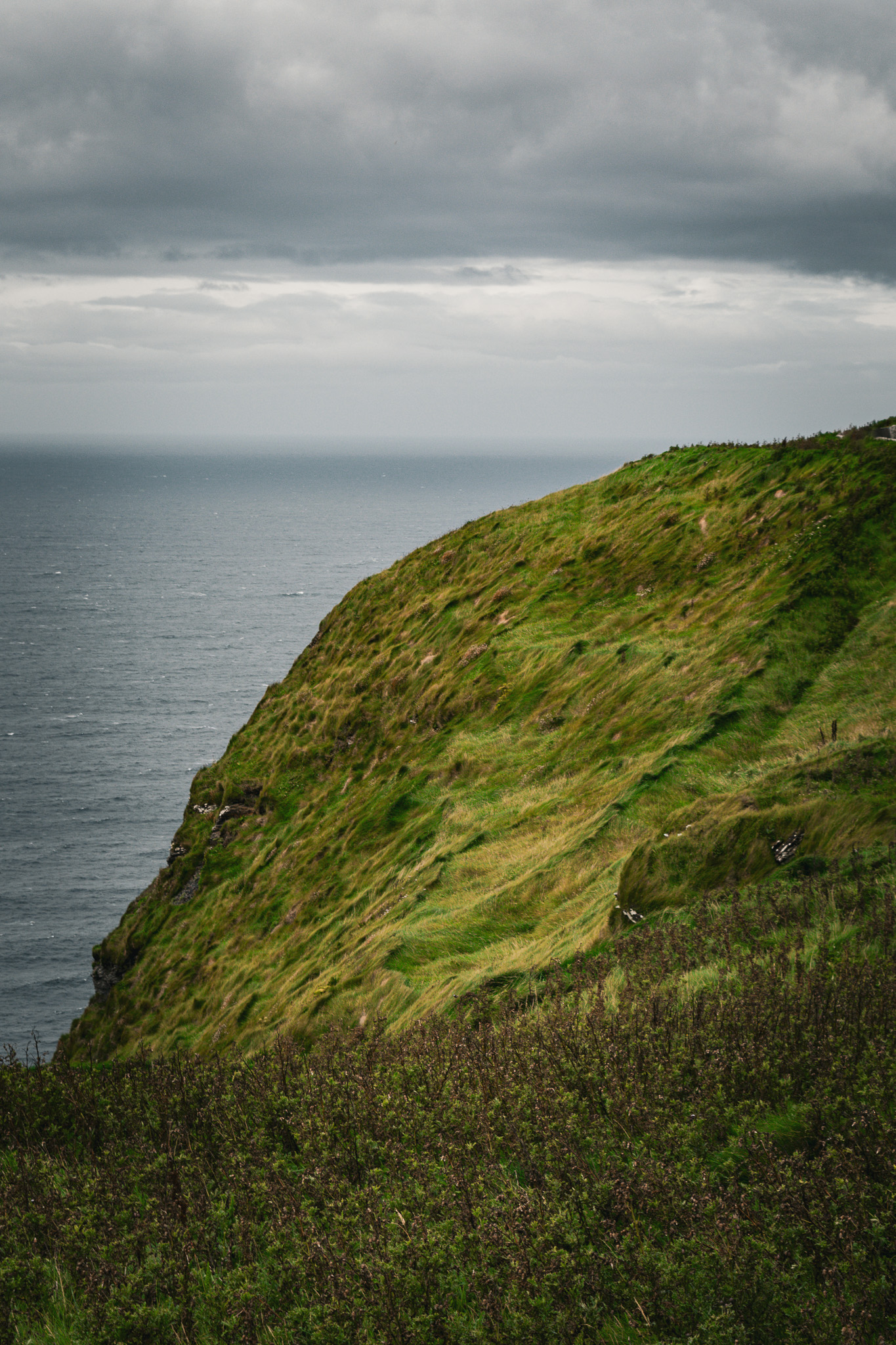 Grassy Cliff at the cliffs of moher in ireland