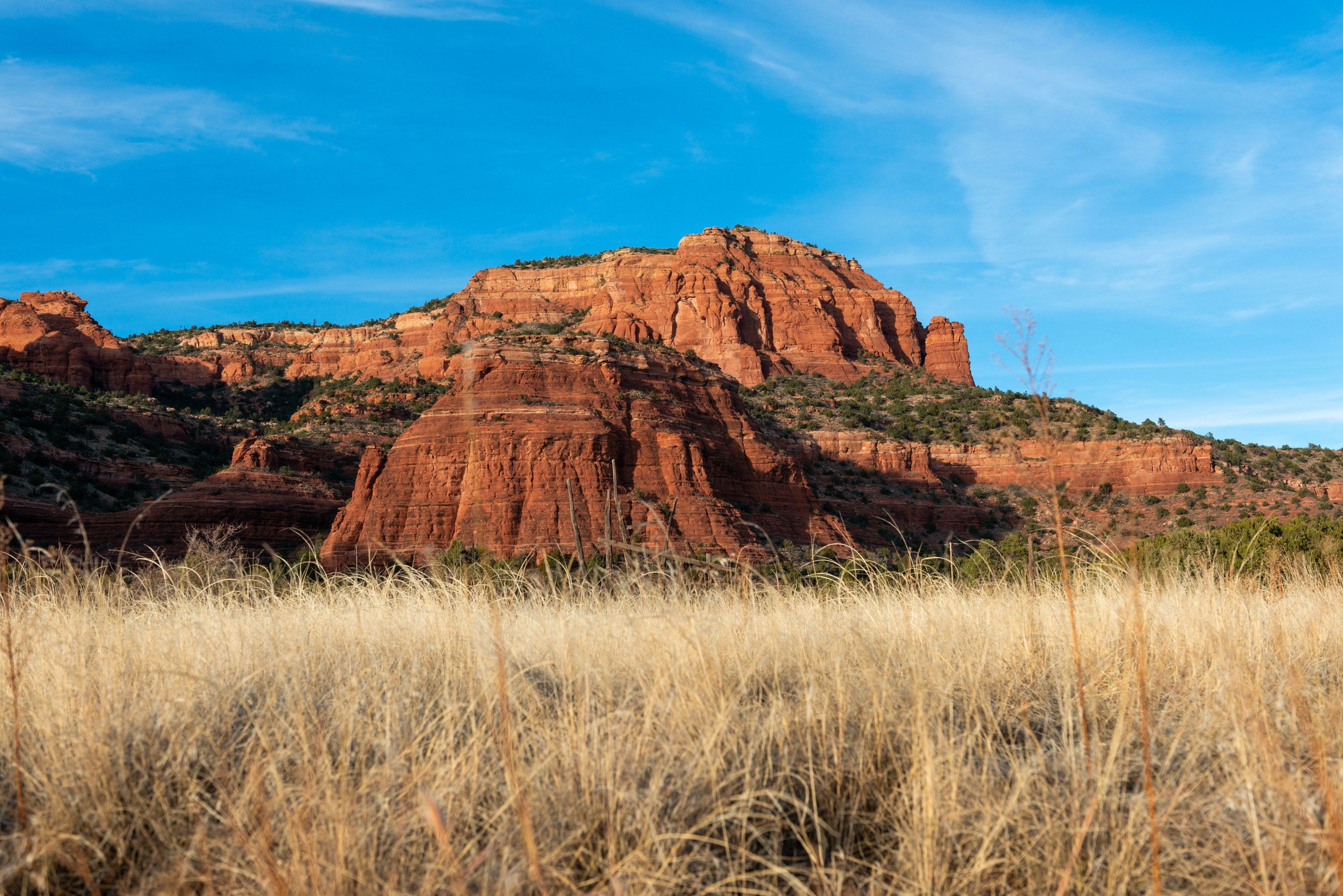 Gold Field and Rocks - Sedona, Arizona
