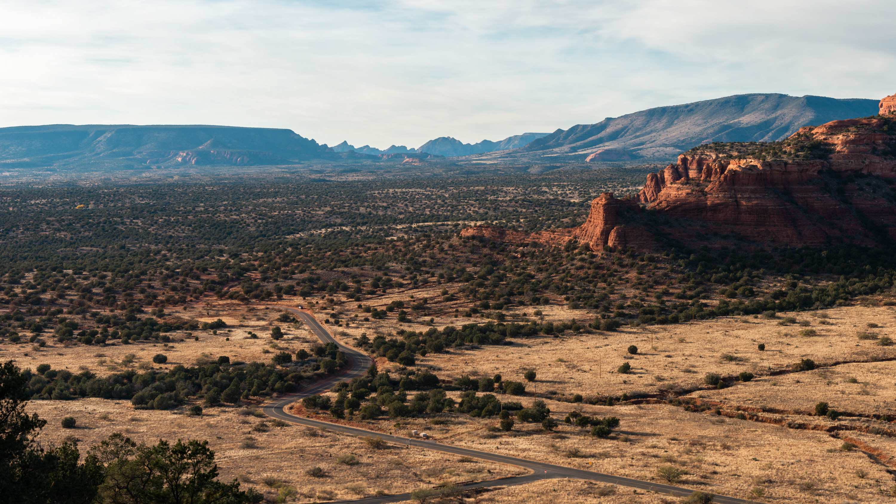 Golden Field - Sedona, Arizona