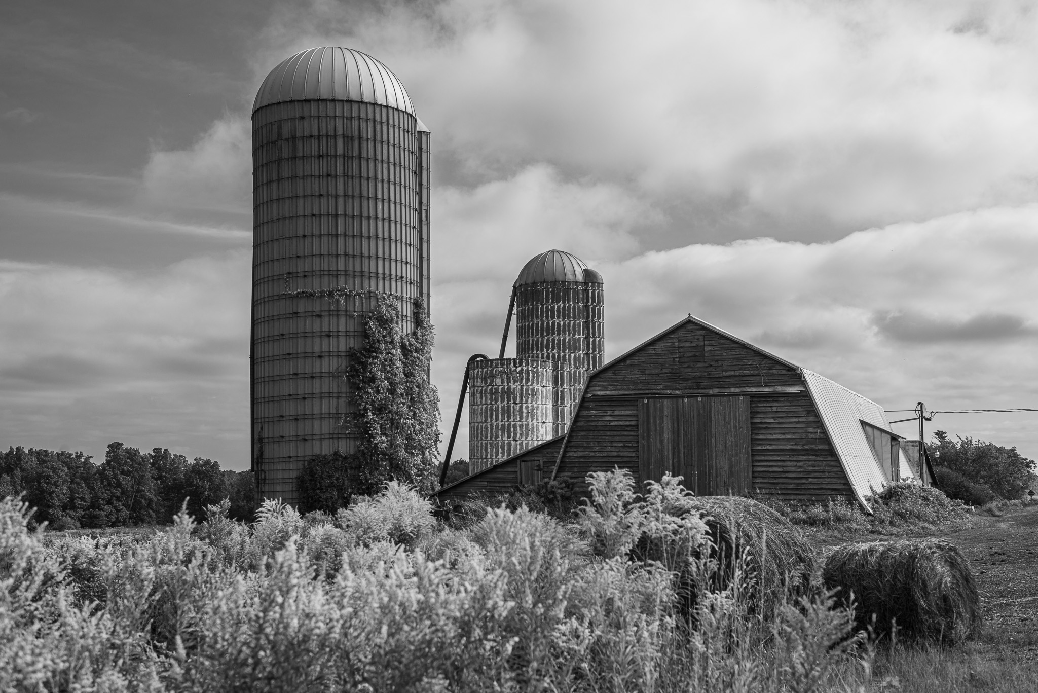 Abandoned Farm - Finger Lakes NY B&W