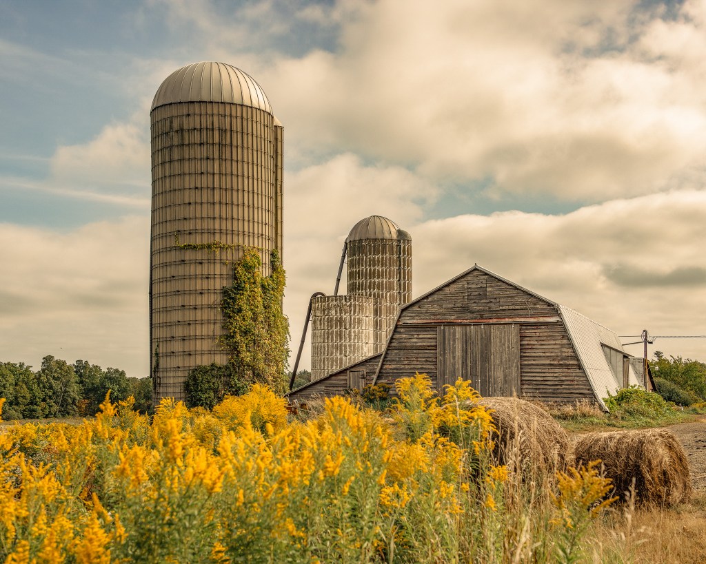 Abandoned Farm - Finger Lakes NY Warm
