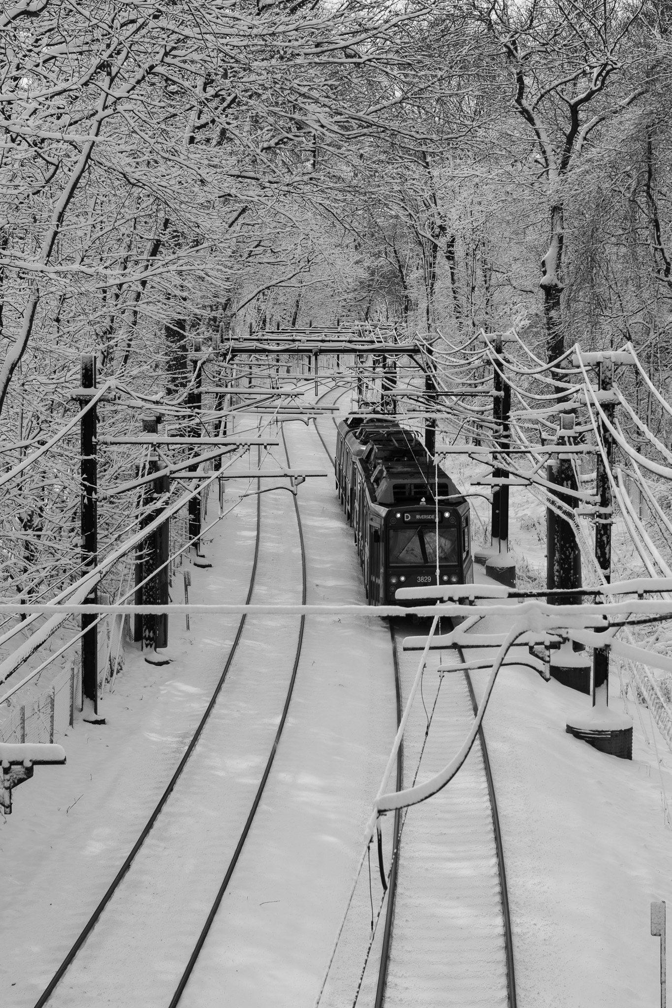 MBTA D Line in the Snow - Brookline MA