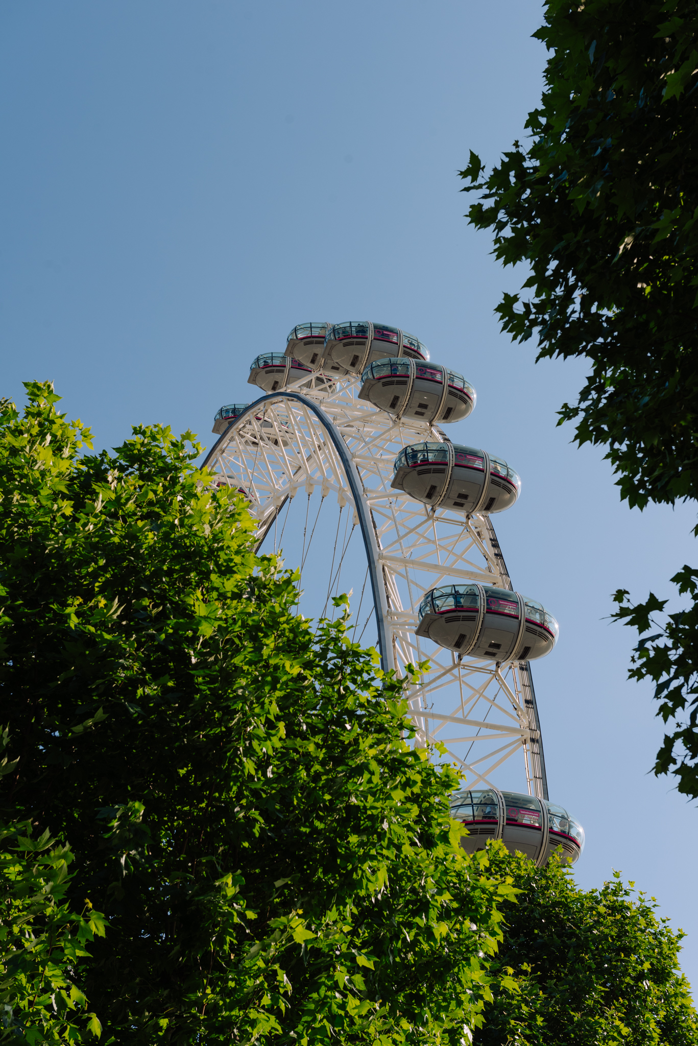 The london eye through the trees